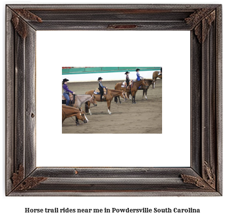 horse trail rides near me in Powdersville, South Carolina